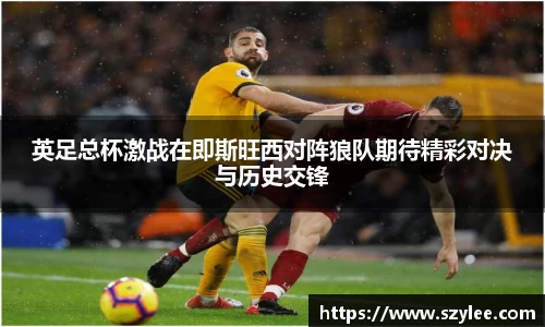 英足总杯激战在即斯旺西对阵狼队期待精彩对决与历史交锋